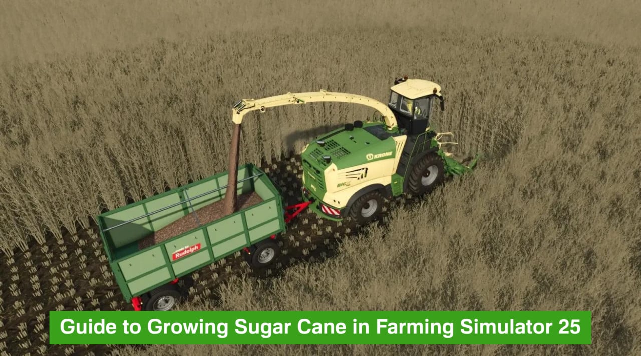 Guide to Growing Sugar Cane in Farming Simulator 25